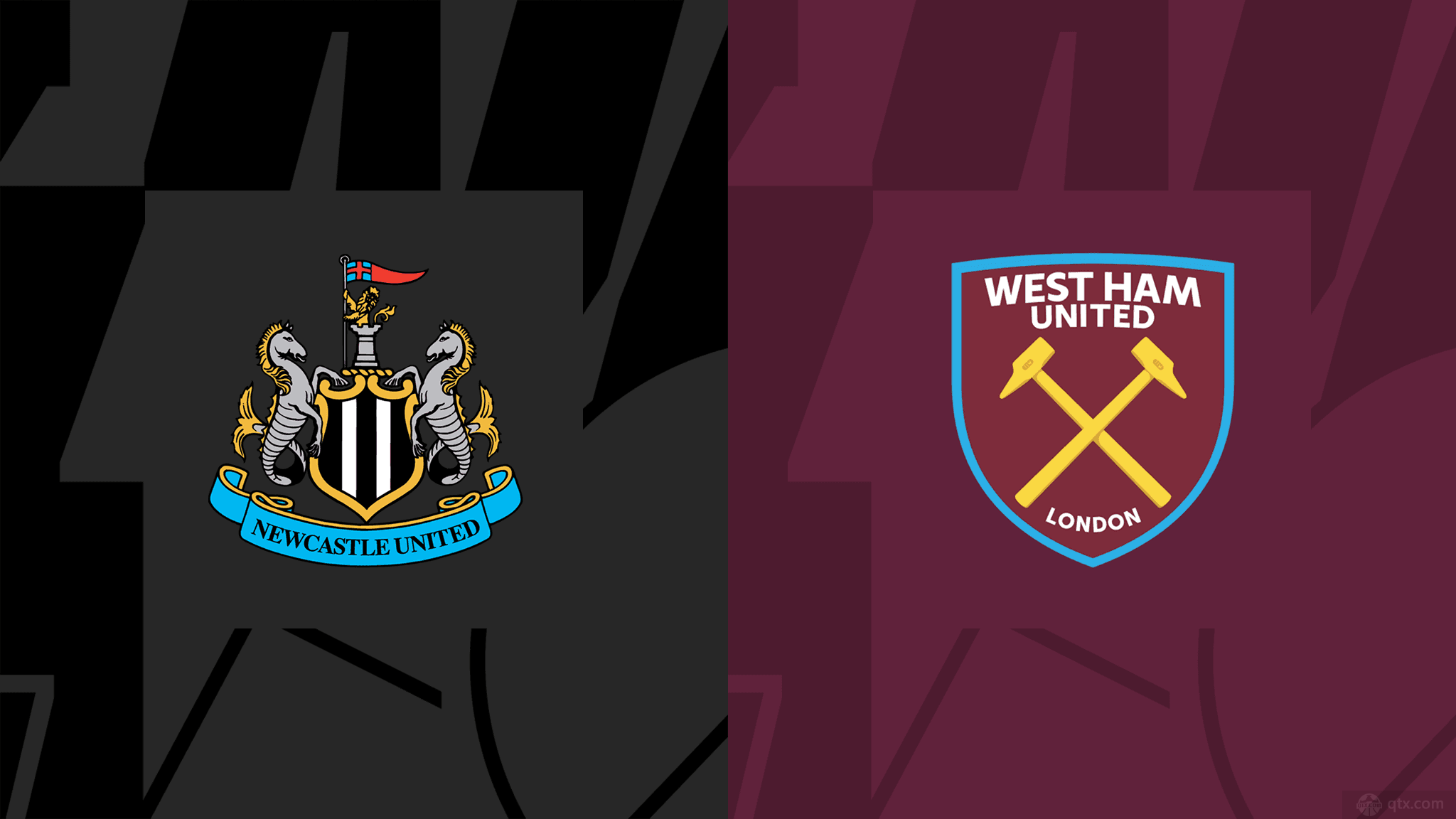 迷还是萨拉 迷还是萨拉